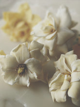 Load image into Gallery viewer, Gardenia, Wild Poplar Bud and Bushman Candle Enfleurage.