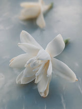 Load image into Gallery viewer, Bone Flower. tuberose soliflore. single note tuberose perfume with tuberose enfleurage. September 2023
