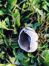 Load image into Gallery viewer, Fire Opal. umami perfume. ocean terroir, sea foam, grass, fungi. savory-sweet dégoût. June 2020