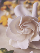 Load image into Gallery viewer, Gardenia and Civet Enfleurage.