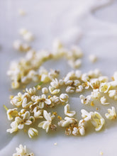 Load image into Gallery viewer, Osmanthus Enfleurage.