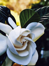 Load image into Gallery viewer, Gardenia and Bushman Candle Enfleurage.