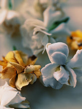 Load image into Gallery viewer, Gardenia and Aged Patchouli Enfleurage.