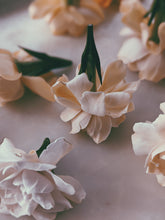 Load image into Gallery viewer, Gardenia and Aged Patchouli Enfleurage.