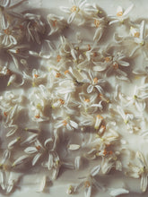 Load image into Gallery viewer, Orange Blossom Enfleurage. 2025.