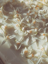 Load image into Gallery viewer, Orange Blossom Enfleurage. 2025.