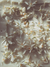 Load image into Gallery viewer, Orange Blossom Enfleurage. 2025.