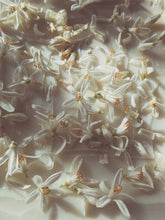 Load image into Gallery viewer, Orange Blossom Enfleurage. 2025.