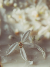 Load image into Gallery viewer, Orange Blossom Enfleurage. 2025.