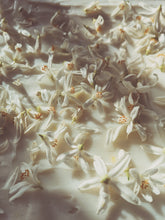 Load image into Gallery viewer, Orange Blossom Enfleurage. 2025.