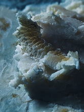 Load image into Gallery viewer, Animalic. Natural perfume fixative by Wild Veil.