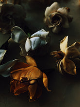 Load image into Gallery viewer, Queen of Mars. enfleurage perfume. fur bikini, musky white flower surf at the blue hour. July 2021