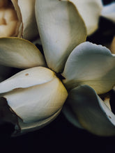 Load image into Gallery viewer, Southern Gothic. enfleurage perfume. florid, haunted. October 2023