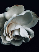 Load image into Gallery viewer, Gardenia and Civet Enfleurage.