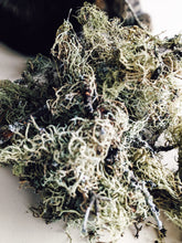 Load image into Gallery viewer, Everlasting. natural perfume. helichrysum and rose romance. moss, clary sage, palo santo. March 2023