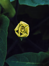 Load image into Gallery viewer, Infinite. natural perfume. petrichor, jungle undergrowth, baked earth, storm dust. July 2022