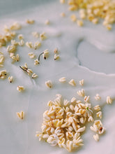 Load image into Gallery viewer, Osmanthus Enfleurage.
