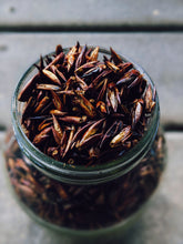 Load image into Gallery viewer, Feeding Hansel. Natural cologne. Solid botanical fragrance. Swamp cedar, muscatel, quaking aspen bud, blackberries, fire tea, henna, reishi. December 2022