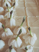 Load image into Gallery viewer, Freyja. enfleurage perfume. winter musk and flowers. woodland ointment. September 2022