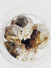 Load image into Gallery viewer, Freyja. enfleurage perfume. winter musk and flowers. woodland ointment. September 2022