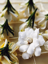 Load image into Gallery viewer, Gandhraj (November 2018). Aged Gardenia jasminoides Enfleurage Extrait. Organic gardenia perfume. Biodynamic