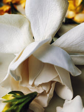 Load image into Gallery viewer, Gardenia, Saffron and Hunza Raisin Enfleurage.
