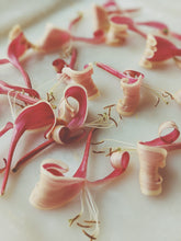 Load image into Gallery viewer, Suikazura (June-August 2020). Aged Pink and Yellow Honeysuckle Enfleurage Extrait. Organic honeysuckle perfume. Biodynamic
