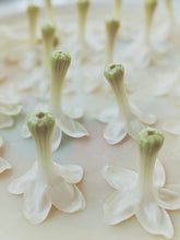 Load image into Gallery viewer, Hawaiian Wedding Flower. Madagascar Jasmine Enfleurage Extrait. Organic.