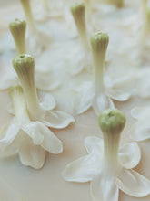 Load image into Gallery viewer, Hawaiian Wedding Flower. Madagascar Jasmine Enfleurage Extrait. Organic.