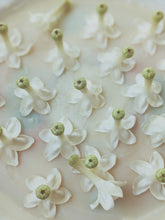 Load image into Gallery viewer, Hawaiian Wedding Flower. Madagascar Jasmine Enfleurage Extrait. Organic.
