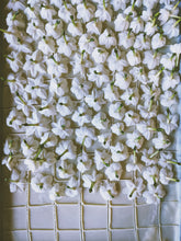 Load image into Gallery viewer, Jonquil and Patchouli Enfleurage.