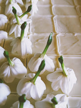 Load image into Gallery viewer, Jonquil and Patchouli Enfleurage.