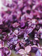 Load image into Gallery viewer, Lilac and Wild Vermont Fir Balsam Enfleurage.