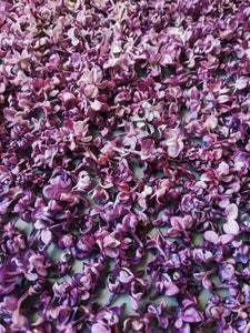 Peach Iris. enfleurage perfume. orris root, peach, rose, apricot, osmanthus, stephanotis. October 2023