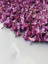 Load image into Gallery viewer, Lilac Wine. enfleurage perfume. effervescent and longlasting lilac fougère. June 2025