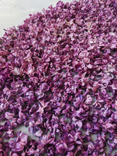 Load image into Gallery viewer, Lilac and Peach Honey Enfleurage.