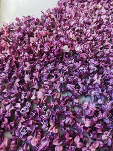 Lilac Wine. enfleurage perfume. effervescent and longlasting lilac fougère. June 2021
