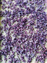 Load image into Gallery viewer, Lilac and Lanolin Enfleurage.
