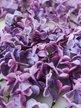 Load image into Gallery viewer, Peach Iris. enfleurage perfume. orris root, peach, rose, apricot, osmanthus, stephanotis. October 2023