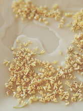 Load image into Gallery viewer, Osmanthus Enfleurage.