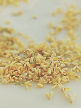 Load image into Gallery viewer, Osmanthus Enfleurage.