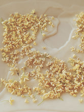 Load image into Gallery viewer, Osmanthus Enfleurage.