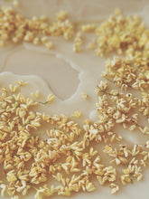 Load image into Gallery viewer, Osmanthus Enfleurage.