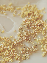 Load image into Gallery viewer, Osmanthus Enfleurage.