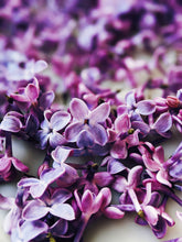 Load image into Gallery viewer, Lilac and Bushman Candle Enfleurage.