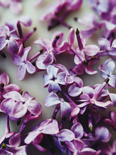 Load image into Gallery viewer, Lilac and Bushman Candle Enfleurage.