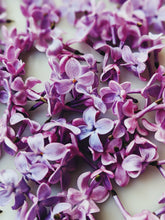 Load image into Gallery viewer, Lilac and Bushman Candle Enfleurage.