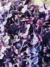 Load image into Gallery viewer, Lilac Wine. enfleurage perfume. effervescent and longlasting lilac fougère. June 2021