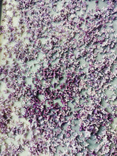 Load image into Gallery viewer, Lilac and Labdanum Enfleurage.