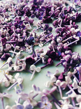 Load image into Gallery viewer, Lilac and Labdanum Enfleurage.